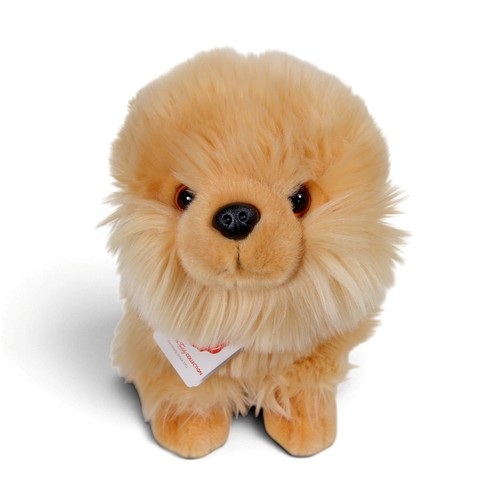 Teddy hermann pomeranian welpe - hermann,