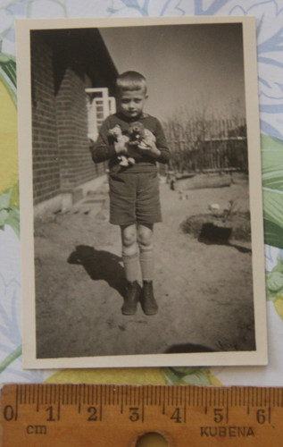 Foto junge pimpf teddybär