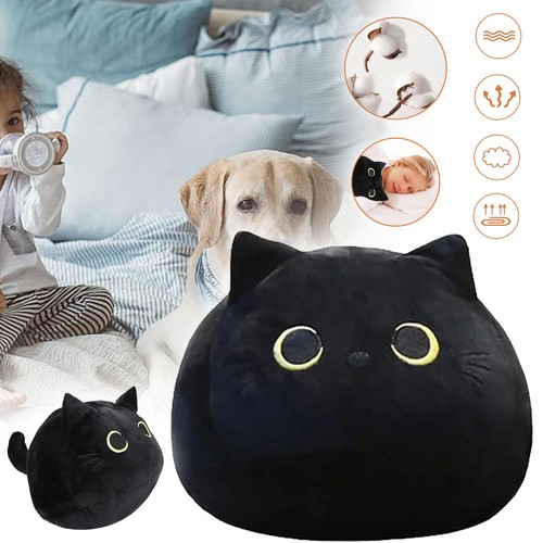 Süßes katze plüschtiere - katze,